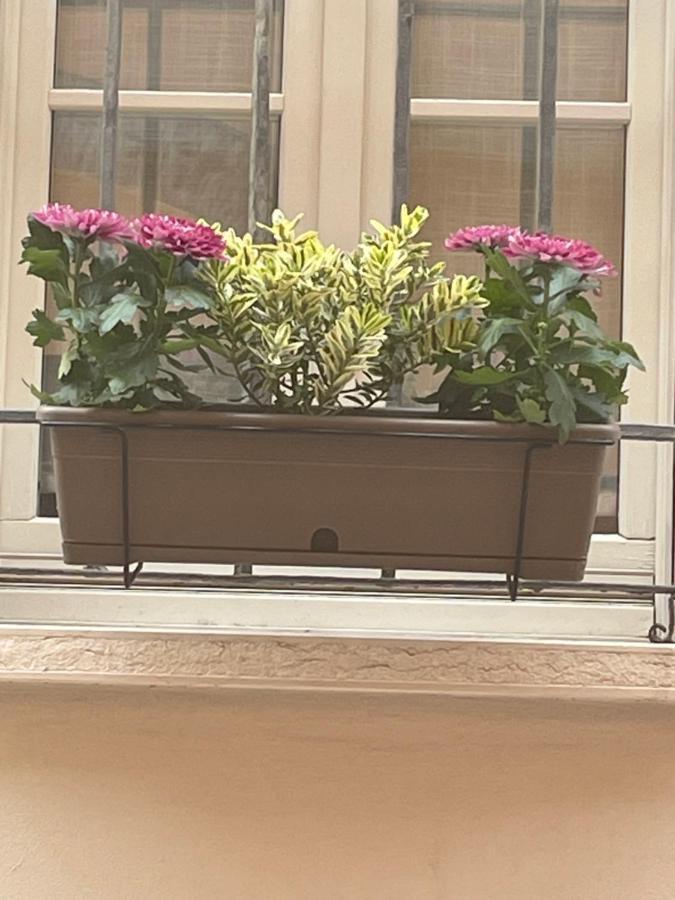 Cuor Di Mantova B&B Exterior photo
